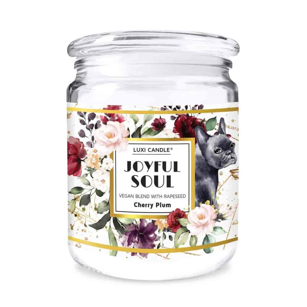 Luxi Candle Joyful Soul