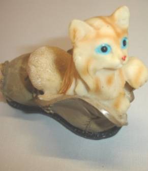 Katze im Schuh