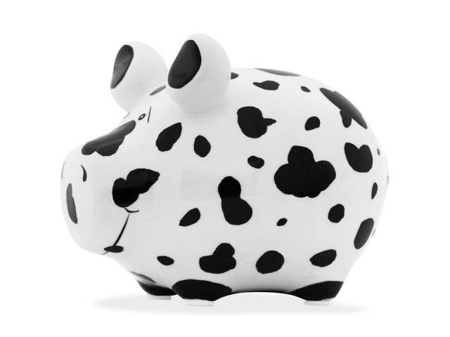 KCG Sparschwein Dalmatiner