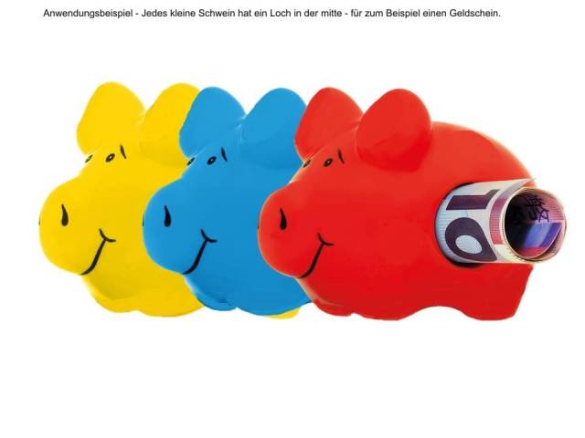 KCG Schwein Schein-Rein